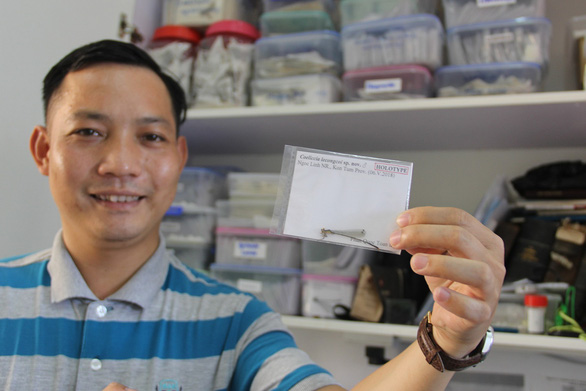 Phan Quoc Toan shows Coeliccia lecongcoi, the latest damselfly that he found in Vietnam and was featured in a paper published in Zootaxa in February 2019. Photo: Ha Chau / Tuoi Tre