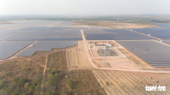 The Srepok 1-Quang Minh solar power plant cluster is located in Ea Wer Commune, Buon Don District. Photo: Trung Tan / Tuoi Tre