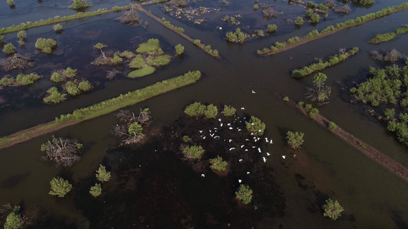 An aerial view of the nature reserve in Bac Lieu Province, Vietnam’s Mekong Delta in late March 2019. Photo: Phan Thanh Cuong / Tuoi Tre