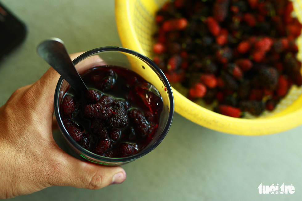 A summer treat of juicy mulberries mixed with ice and syrup. Photo: Tan Luc / Tuoi Tre