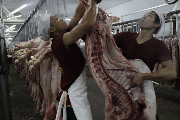 A pig slaughterhouse in Vietnam. Photo: Nguyen Tri / Tuoi Tre