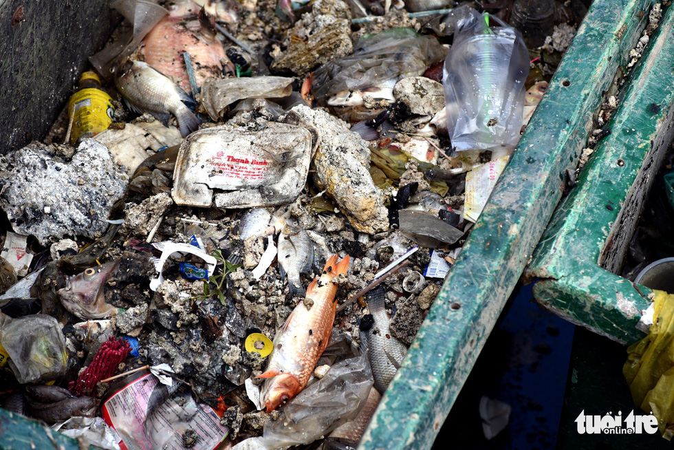 Dead fish and pollutants are collected from the Nhieu Loc – Thi Nghe canal in Ho Chi Minh City on April 18, 2019. Photo: Duyen Phan / Tuoi Tre