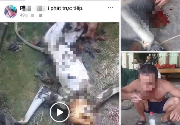 A screenshot of Phan Van Hoi’s Facebook account with the live-streamed footage in which the langur was slaughtered
