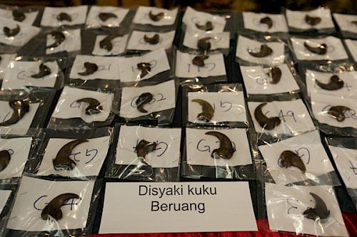 Two Vietnamese sent to prison in Malaysia for wildlife crime: report