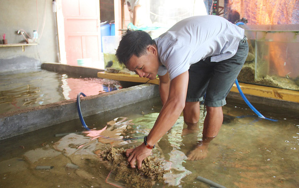 Doan Trung Hau cleans his fish tank in Ly Son island of central Vietnam. Photo: Tr. Mai / Tuoi Tre