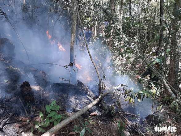 Functional forces cut trees to create firebreaks at a forest fire in Ha Tinh, north-central Vietnam, June 29, 2019.  Photo: Doan Hoa / Tuoi Tre