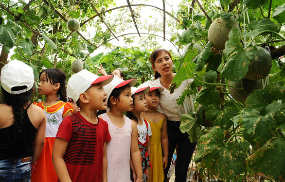 A vegetable garden of a kindergarten in central Vietnam