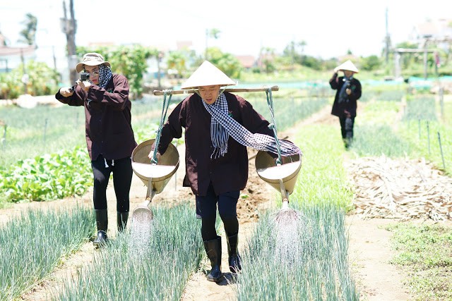 The YouTubers experience watering veggies at Tra Que vegetables village in Cam Ha Commune, Hoi An City, Quang Nam Province, central Vietnam. Photo: Google Adventure Vietnam