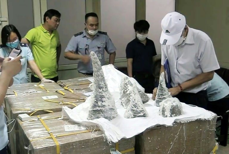 Vietnam seizes 125 kilos of rhino horn hidden in plaster