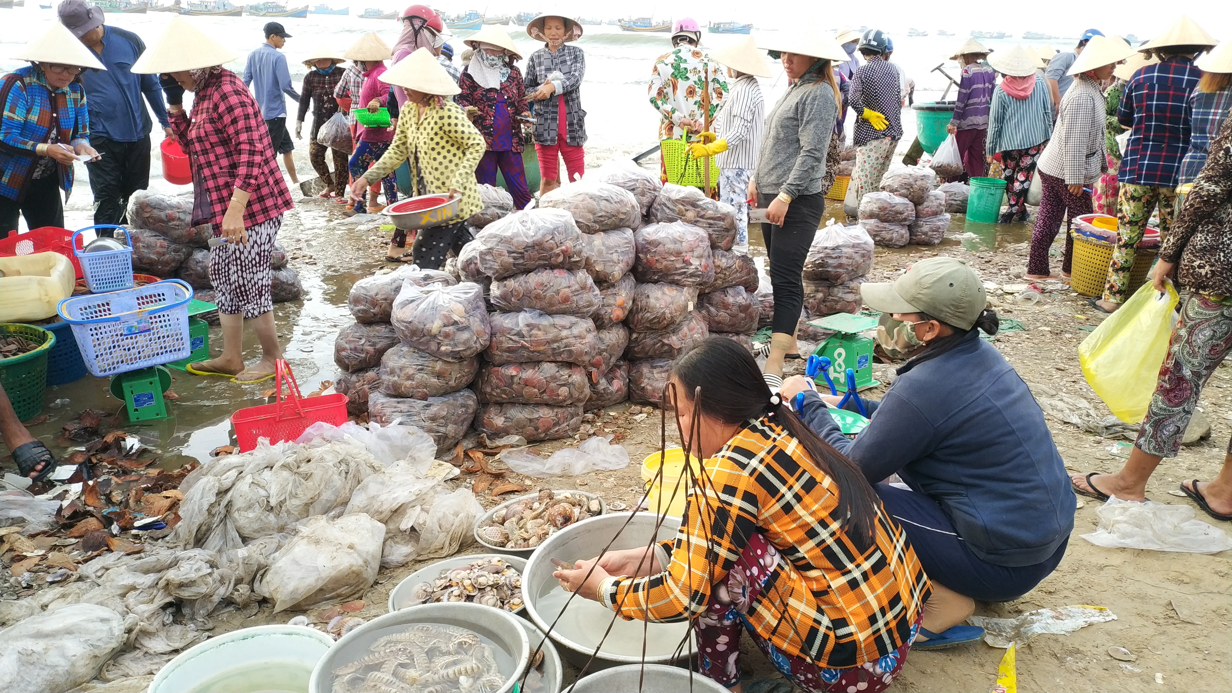 Merchants trade seafood at a local fishing village in Mui Ne, Vietnam July 31, 2019. Photo: Tuan Son / Tuoi Tre