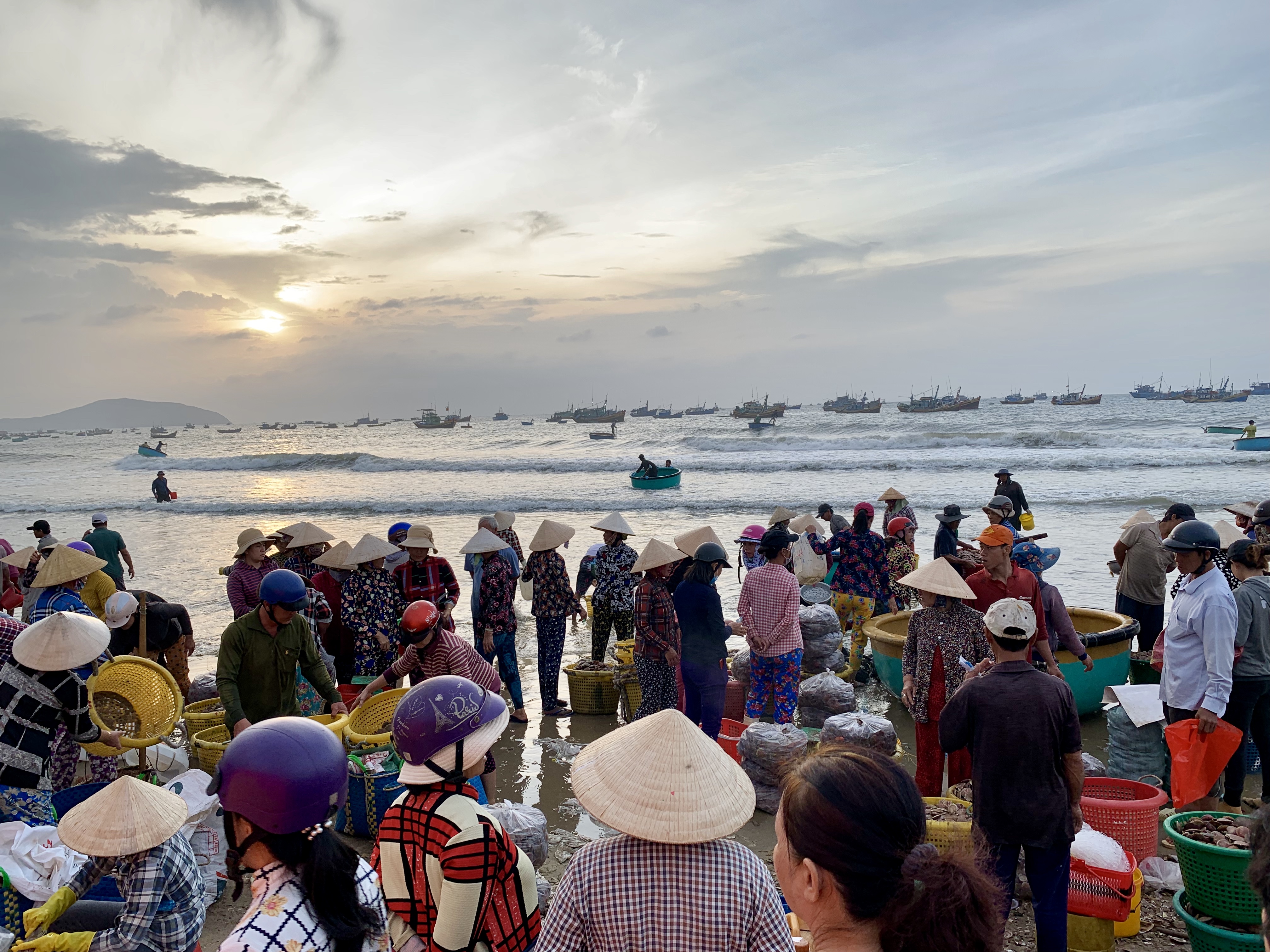 Merchants wait on a beach for fresh seafood to arrive in conical boats at a local fishing village in Mui Ne, Vietnam July 31, 2019. Photo: Tran Phuong / Tuoi Tre