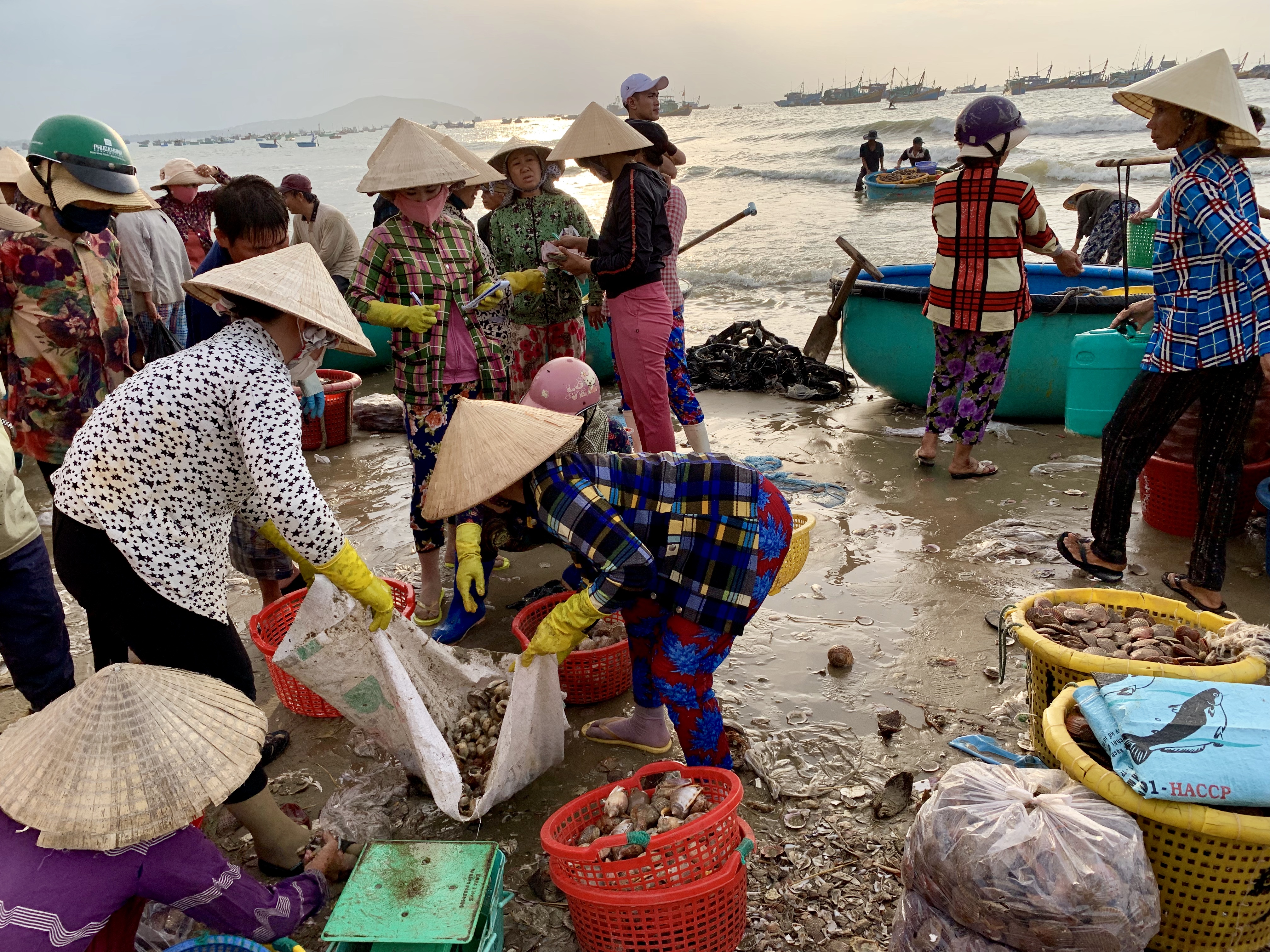 Seafood are weighed and sold right by the seashore at a local fishing village in Mui Ne, Vietnam July 31, 2019. Photo: Tran Phuong / Tuoi Tre