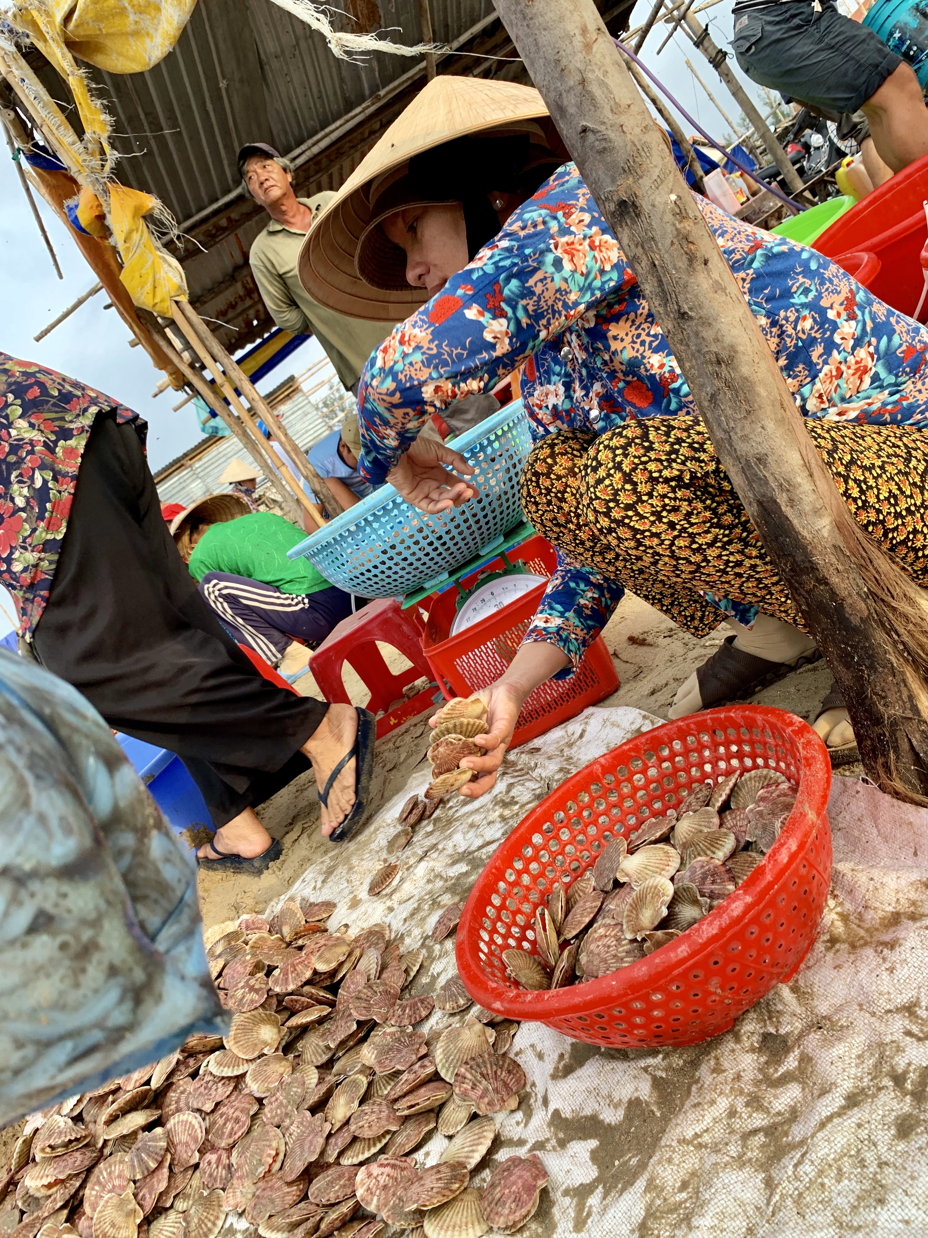 Merchants trade seafood at a local fishing village in Mui Ne, Vietnam July 31, 2019. Photo: Tran Phuong / Tuoi Tre