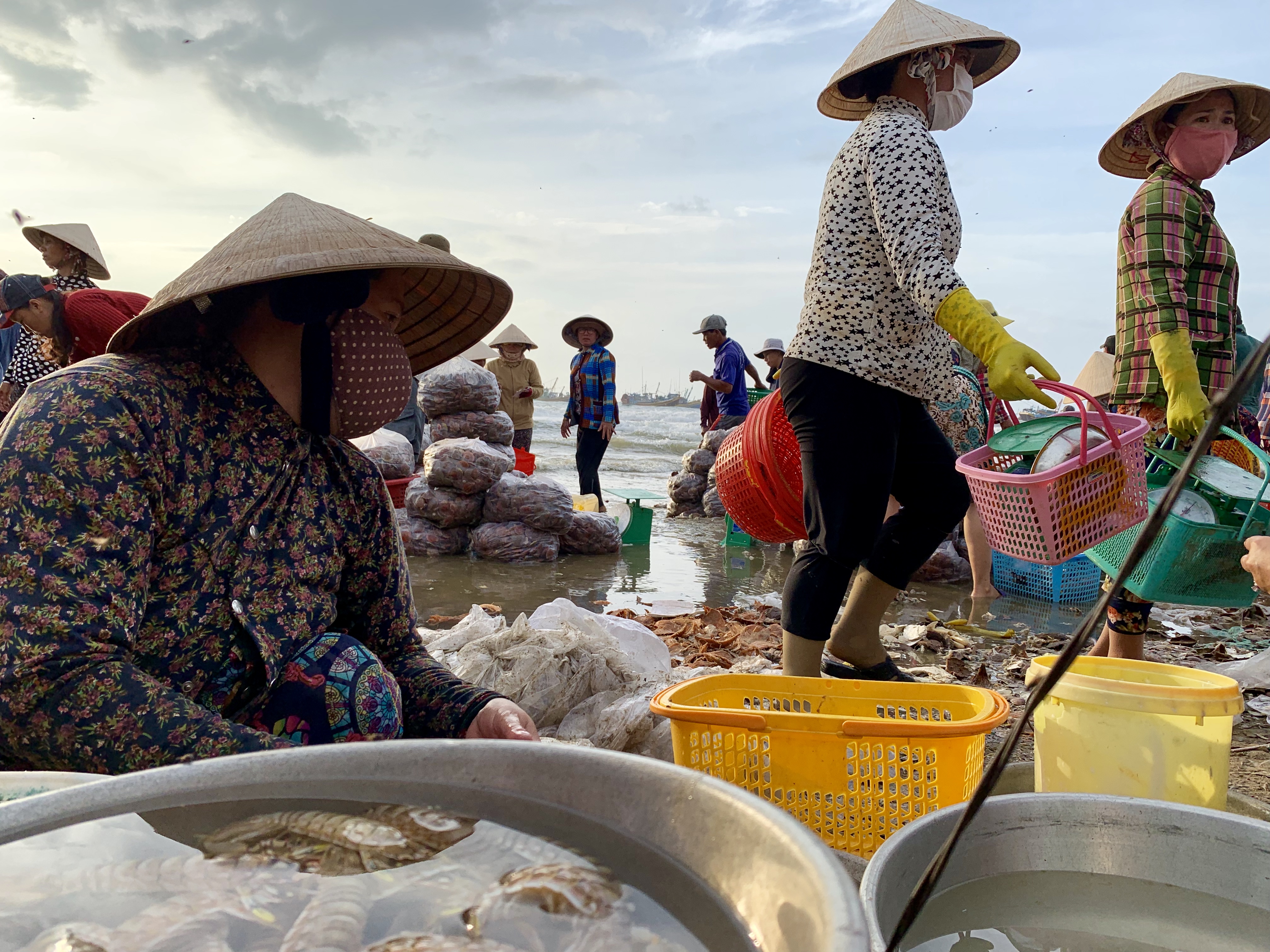 Merchants trade seafood at a local fishing village in Mui Ne, Vietnam July 31, 2019. Photo: Tran Phuong / Tuoi Tre