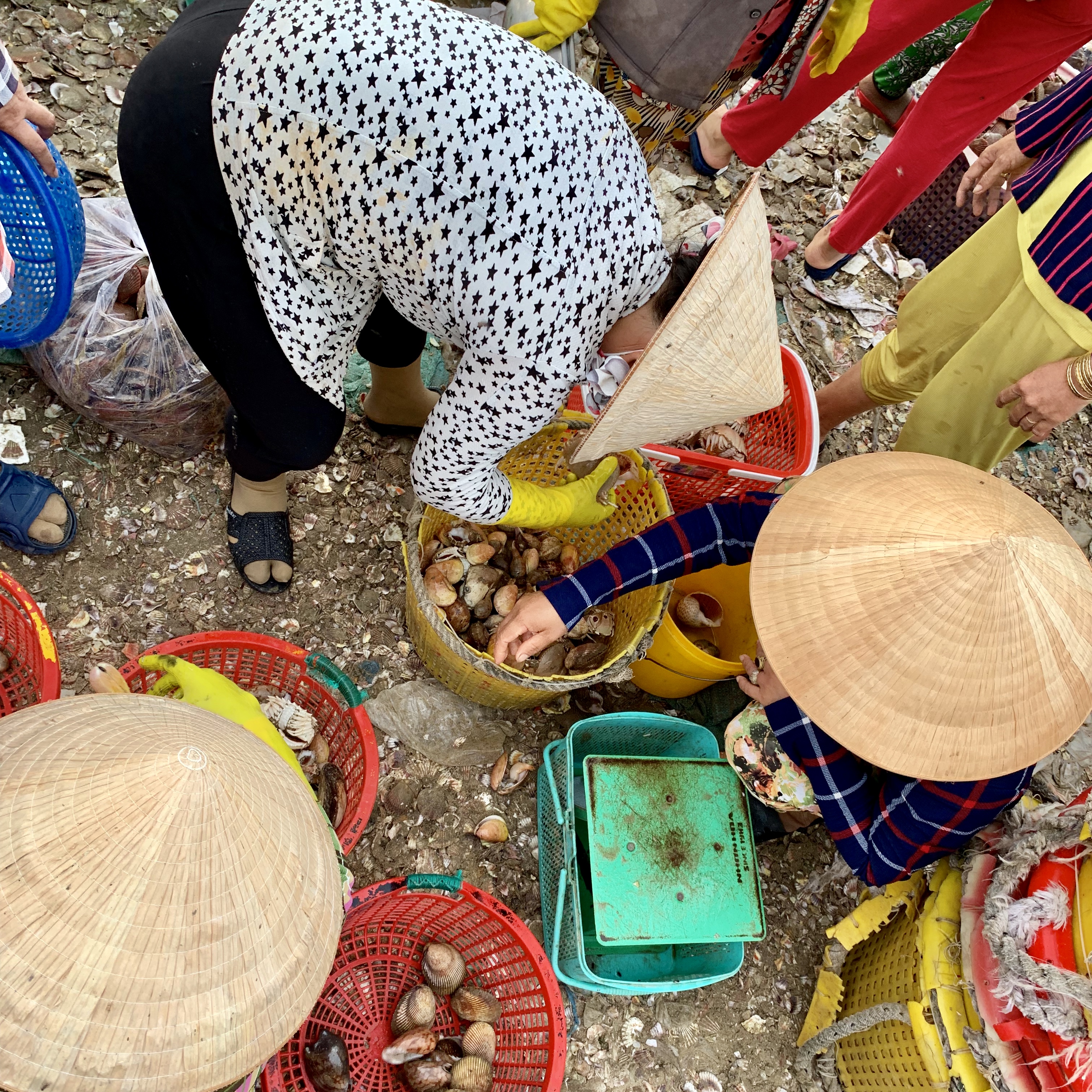 Seafood are weighed and sold right by the seashore at a local fishing village in Mui Ne, Vietnam July 31, 2019. Photo: Tran Phuong / Tuoi Tre