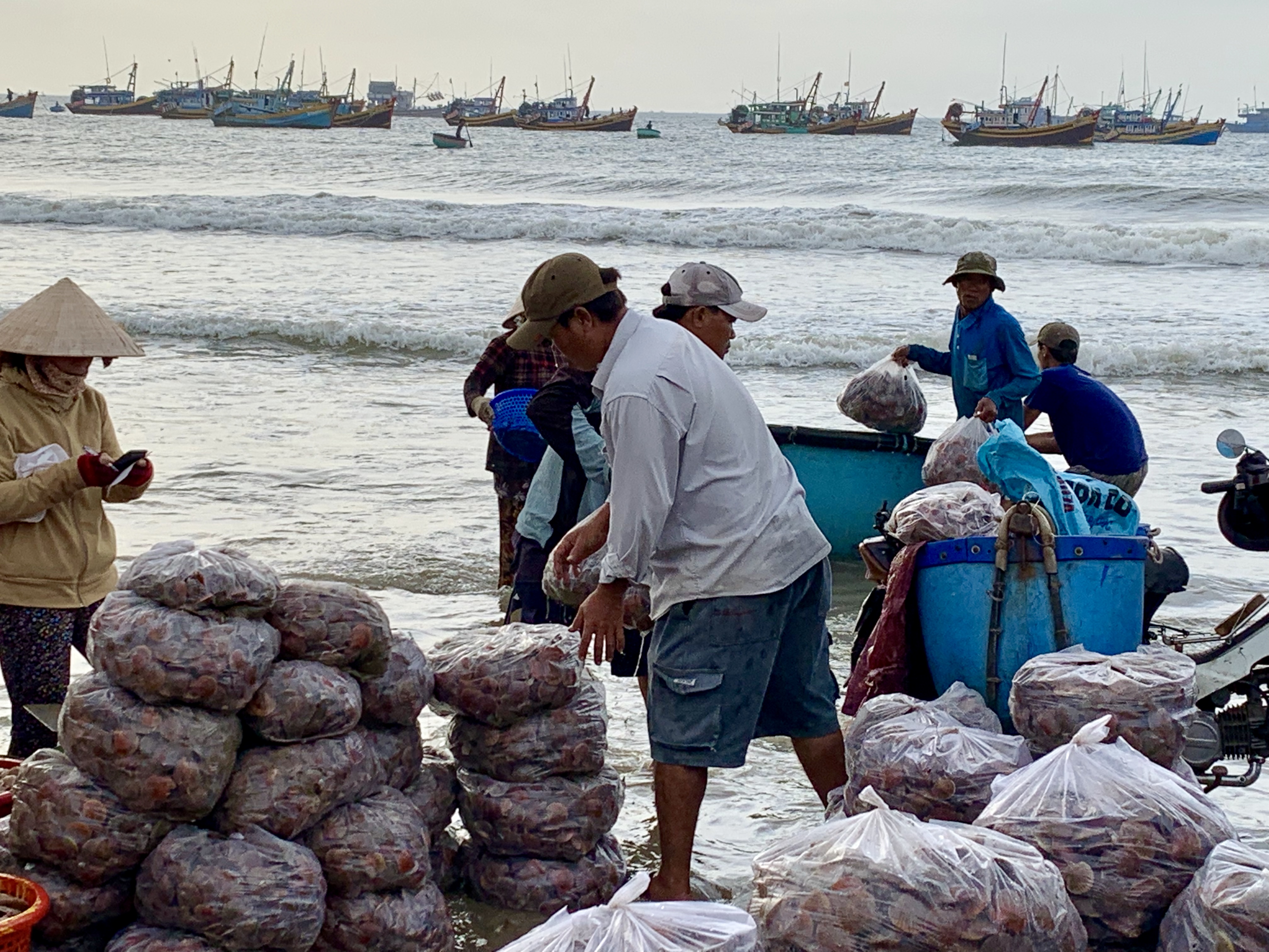 Merchants trade seafood at a local fishing village in Mui Ne, Vietnam July 31, 2019. Photo: Tran Phuong / Tuoi Tre