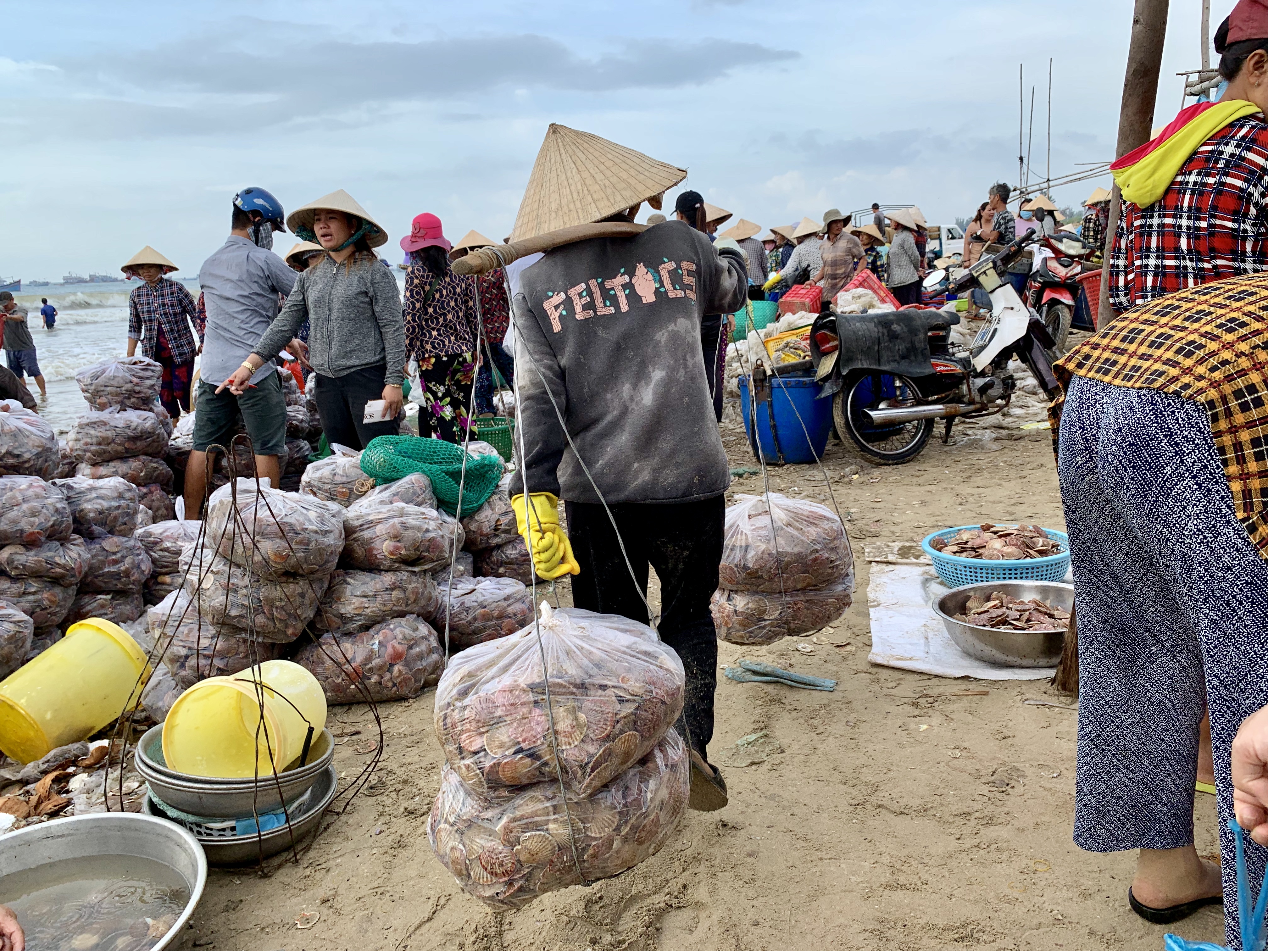 Merchants trade seafood at a local fishing village in Mui Ne, Vietnam July 31, 2019. Photo: Tran Phuong / Tuoi Tre