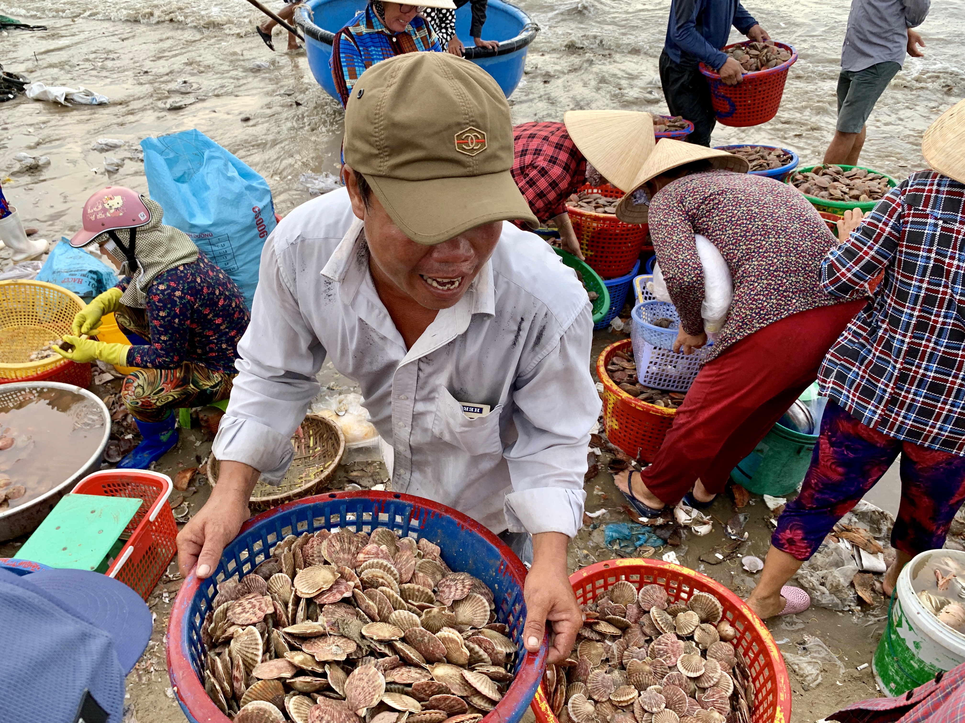 A man handles a basket of whole-shell scallops at a local fishing village in Mui Ne, Vietnam July 31, 2019. Photo: Tran Phuong / Tuoi Tre