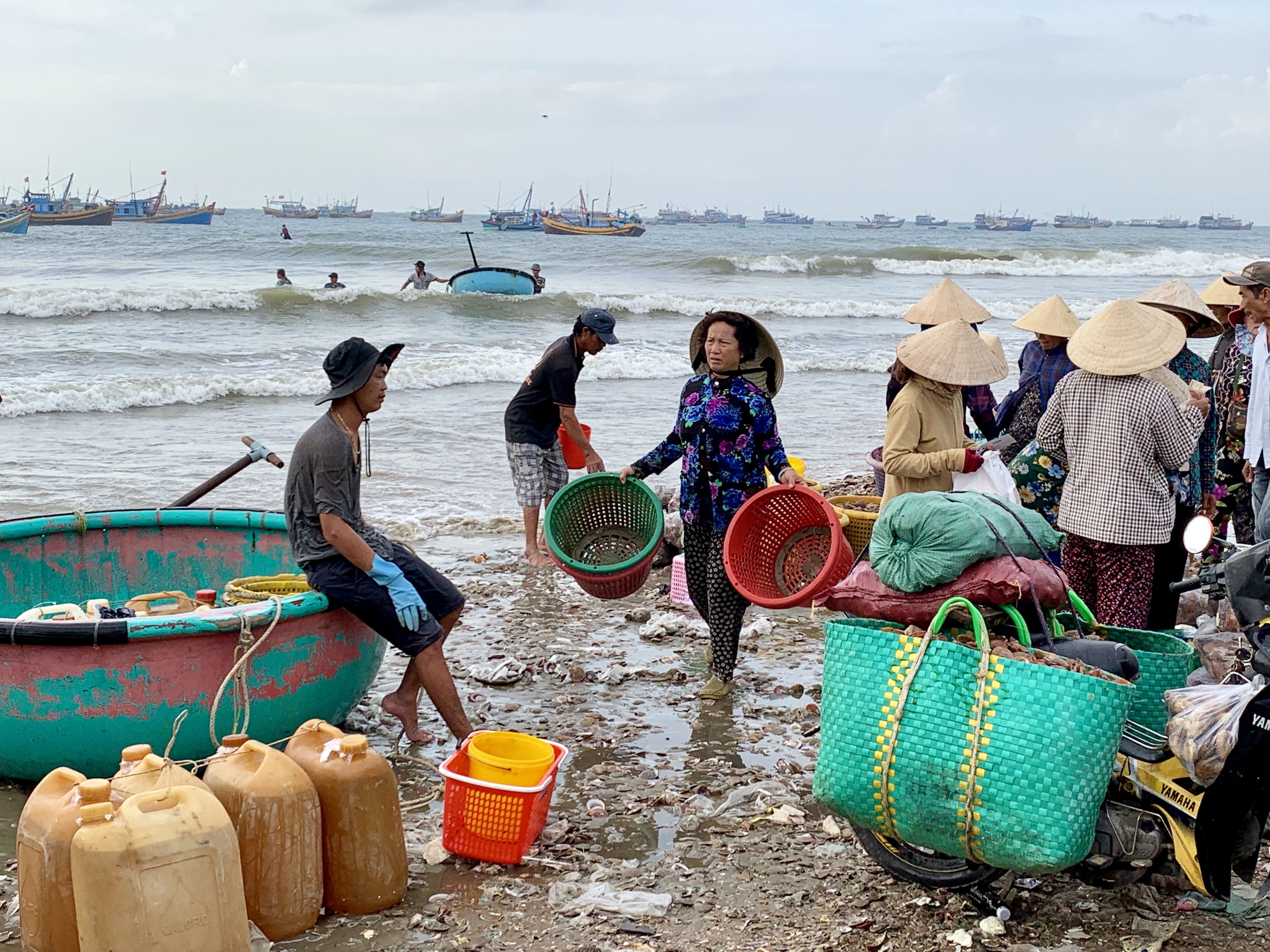 Merchants trade seafood at a local fishing village in Mui Ne, Vietnam July 31, 2019. Photo: Tran Phuong / Tuoi Tre