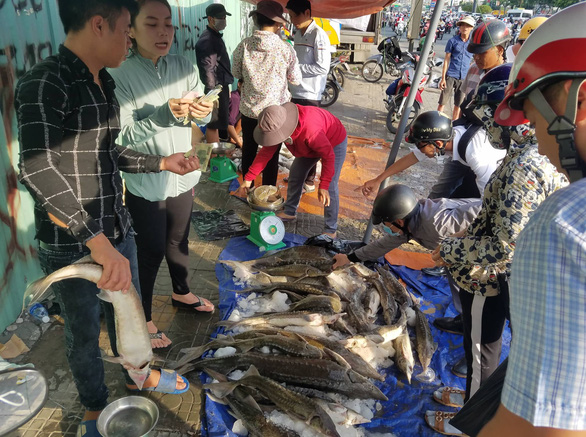 Customers buy sturgeon on a sidewalk on Truong Chinh Street in Tan Binh District, Ho Chi Minh City. Photo: Nguyen Tri / Tuoi Tre