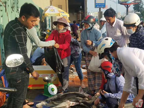 Customers buy sturgeon on a sidewalk on Truong Chinh Street in Tan Binh District, Ho Chi Minh City. Photo: Nguyen Tri / Tuoi Tre