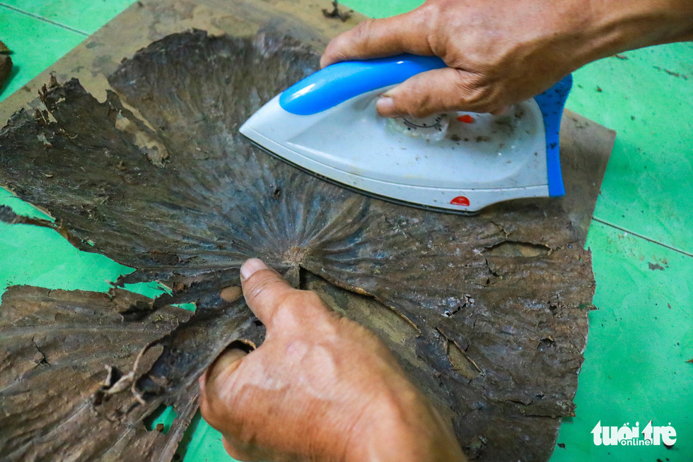 Le Van Nghia irons a lotus leaf to make paintings in Dong Thap, southern Vietnam. Photo: Ngoc Phuong / Tuoi Tre