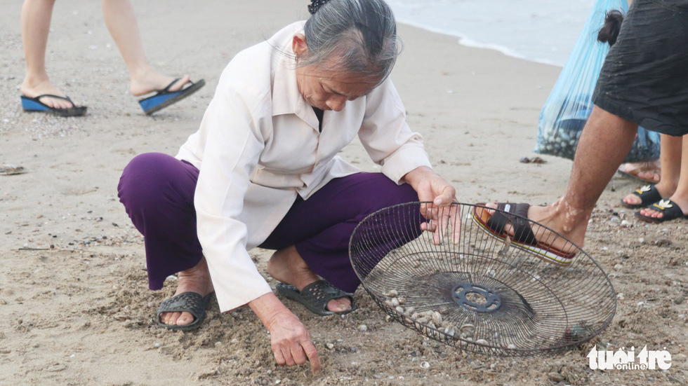 A woman collects shellfish washed ashore after storm at Cua Lo Beach in north-central province of Nghe An, August 30, 2019. Photo: Doan Hoa / Tuoi Tre