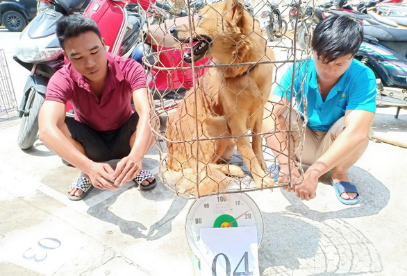 Vietnam police nab 16 in theft ring that sold 100 tons of stolen dogs