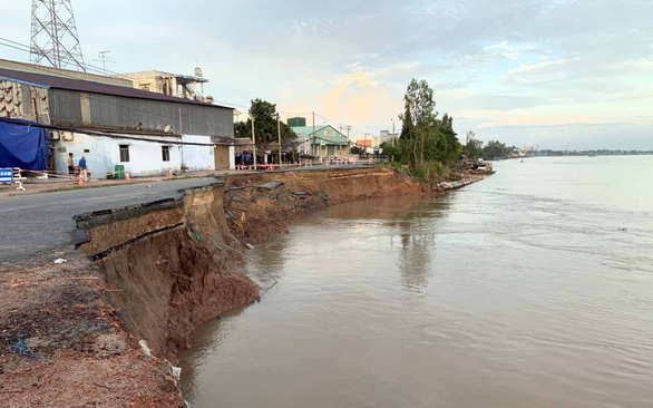 An embankment is being strengthened in the Mekong Delta. Photo: Tuoi Tre
