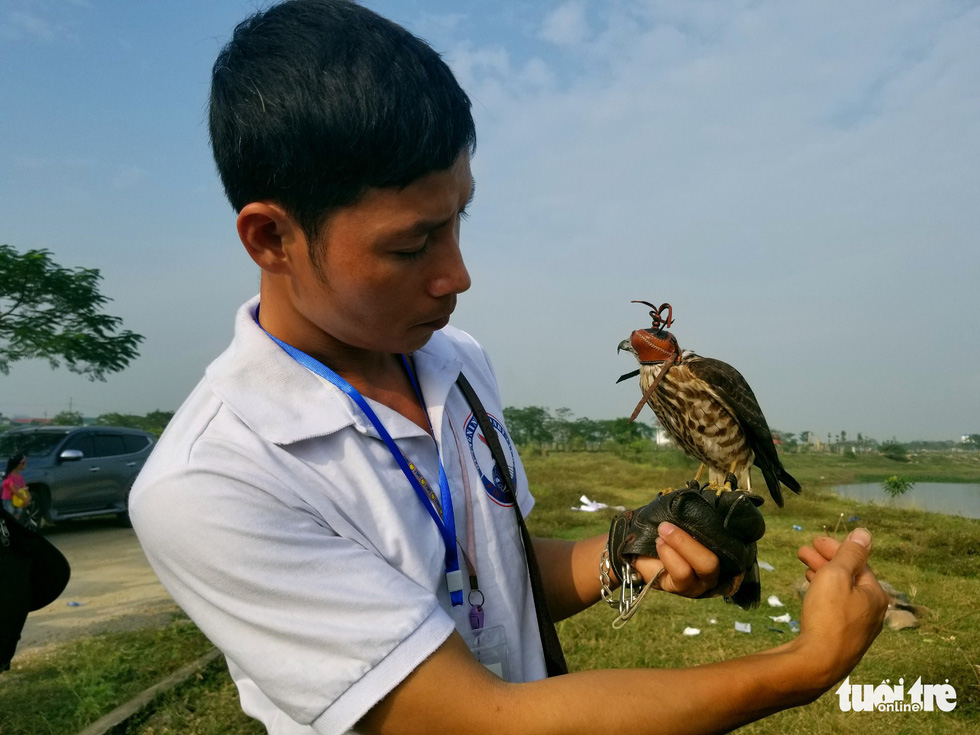 Trainer Hoang Hien handles a raptor during the 5th Northern Vietnam Birds of Prey Contest in Hanoi, October 27, 2019. Photo: Ha Thanh / Tuoi Tre