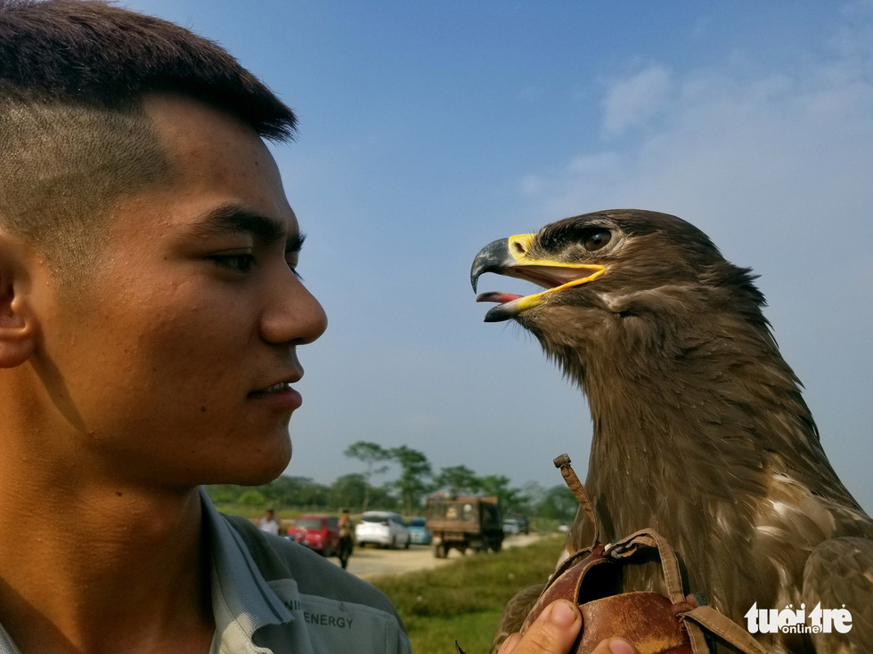 Trainer Nguyen Quang Tuy, 23, handles a steppe eagle during the 5th Northern Vietnam Birds of Prey Contest in Hanoi, October 27, 2019. Photo: Ha Thanh / Tuoi Tre