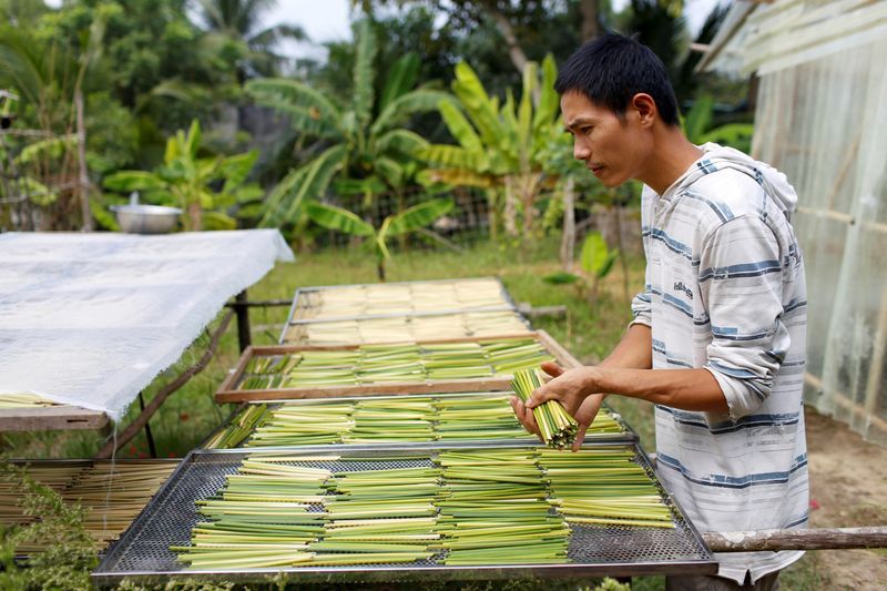 Tran Minh Tien, owner of 3T shop, dries grass straws in front of his house in Long An province. Photo: Reuters