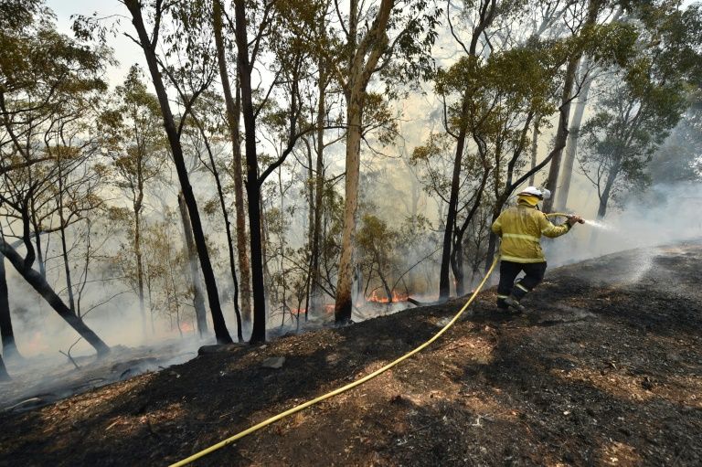 Firefighters tackle a bushfire near Batemans Bay in New South Wales. Photo: AFP