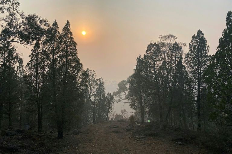 Since late September, more than 20 people have died, more than 1,500 homes have been damaged and an area roughly double the size of Belgium or Hawaii has burned. Photo: AFP