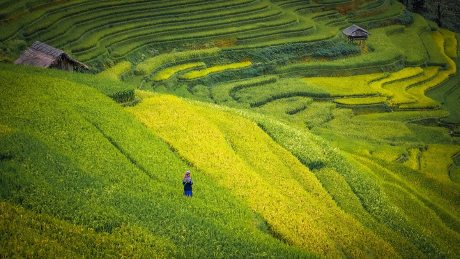Rice terraces in Mu Cang Chai District in the northern province of Yen Bai. Photo: Tuoi Tre