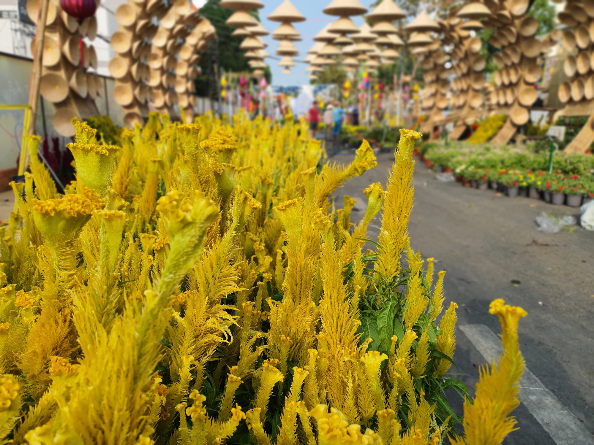 The 2020 Can Tho Flower Street is being assembled in Can Tho City, Vietnam. Photo: Chi Quoc / Tuoi Tre