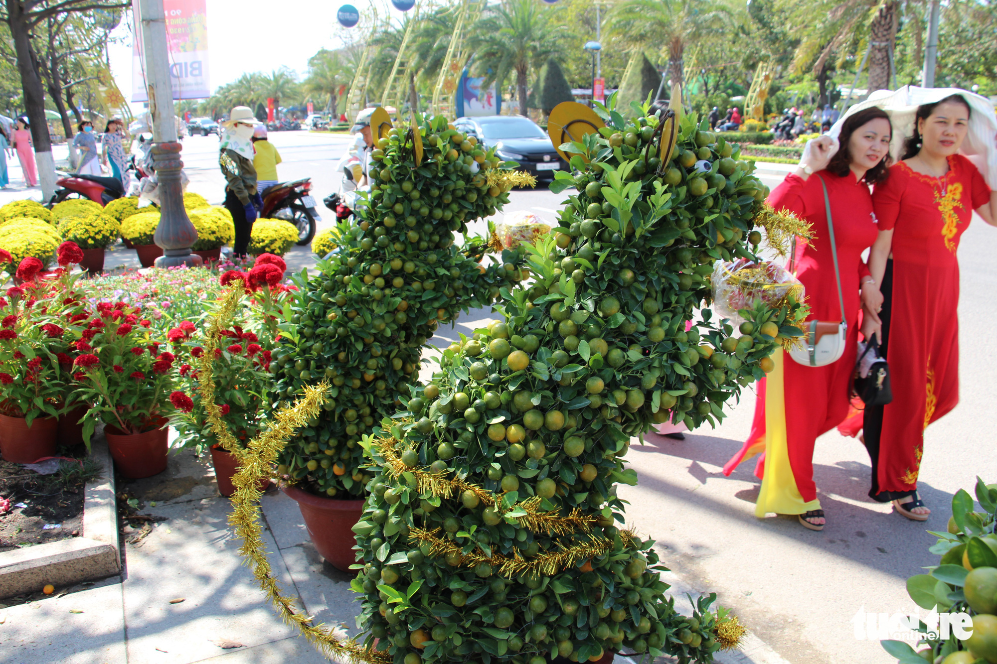 Rat-shaped kumquat bonsai trees are up for sale in Quy Nhon City, Binh Dinh Province, Vietnam. Photo: Thai Thinh / Tuoi Tre