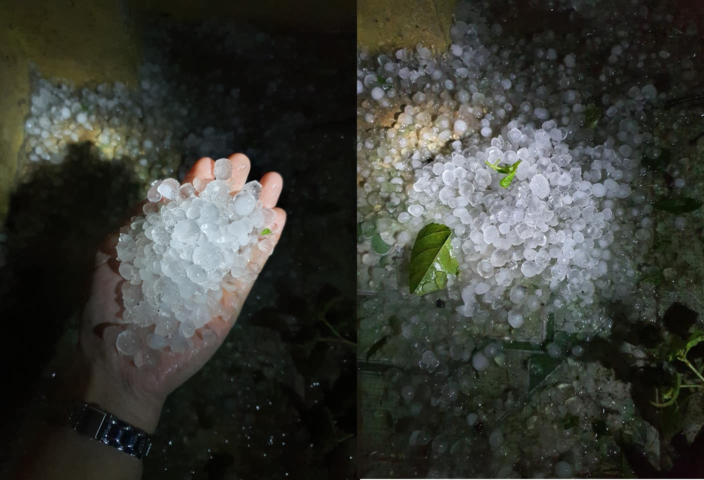 Hailstones are collected following a hailstorm in Yen Bai Province, Vietnam, March 2, 2020. Photo: yenbaitv.org.vn