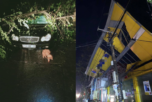 A tree falls on an automobile and a store is damaged after a hailstorm in Yen Bai Province, Vietnam, March 2, 2020. Photo: yenbaitv.org.vn