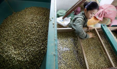 Asia Coffee-Vietnam prices hover near 4-year high, harvest nears end in Indonesia