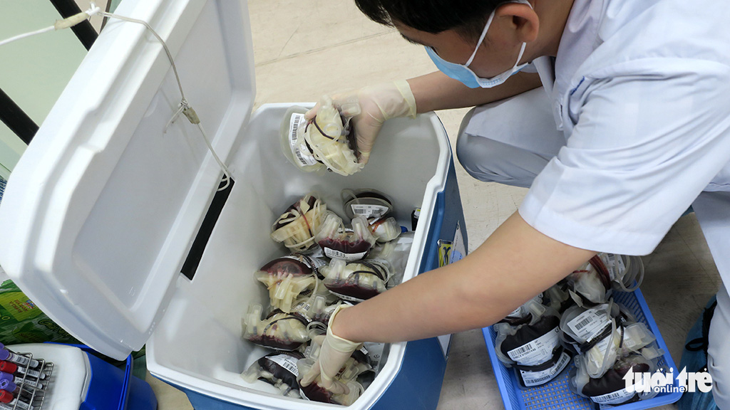 Donated blood is collected at the blood drive. Photo: T.T.D. / Tuoi Tre