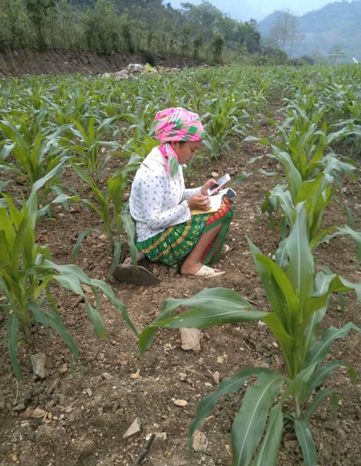 11th grader Hoang Thi My, a member of the Mong ethnic minority group in Bao Lam District, Cao Bang Province, Vietnam, is seen studying during a break from her work on a family farm.