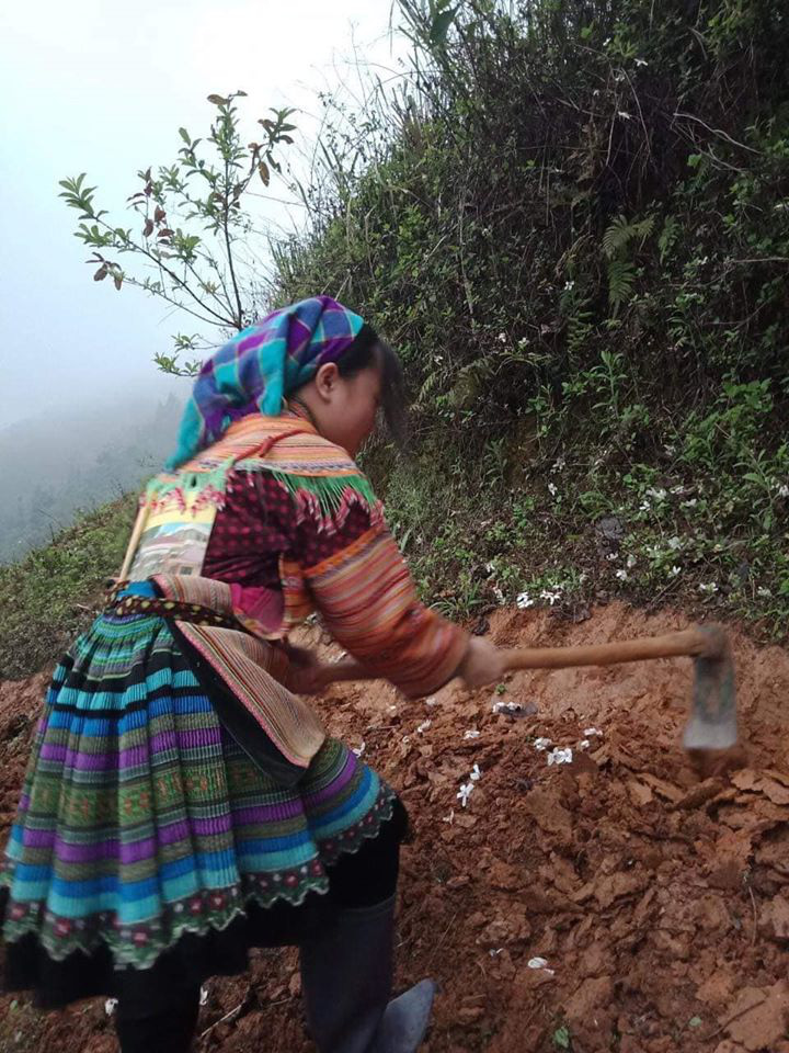 Vang Thi Xa, a member of the Mong ethnic minority group in Si Ma Cai District, Lao Cai Province, Vietnam, works on a family farm as part of her daily routine during the COVID-19 school closure.