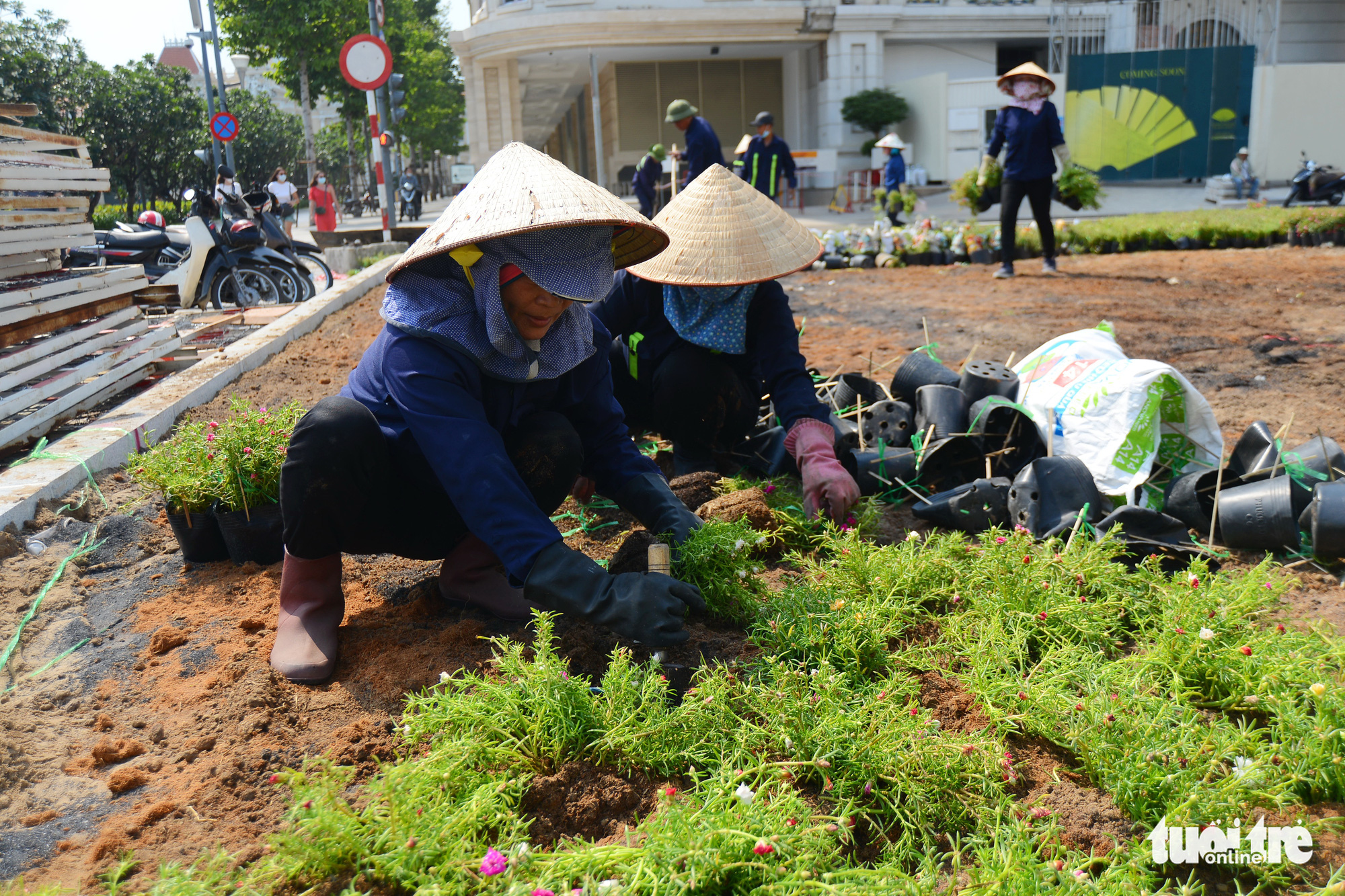 Flowers are being planted in the area. Photo: Quang Dinh / Tuoi Tre