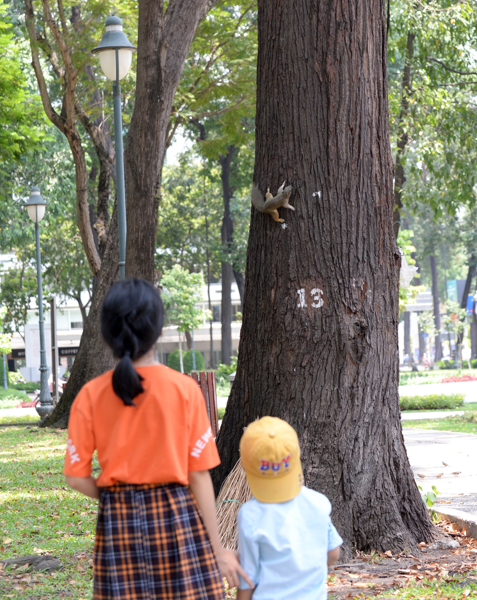 Two children observe squirrels in April 30 Park in Ho Chi Minh City, Vietnam. Photo: T.T.D. / Tuoi Tre