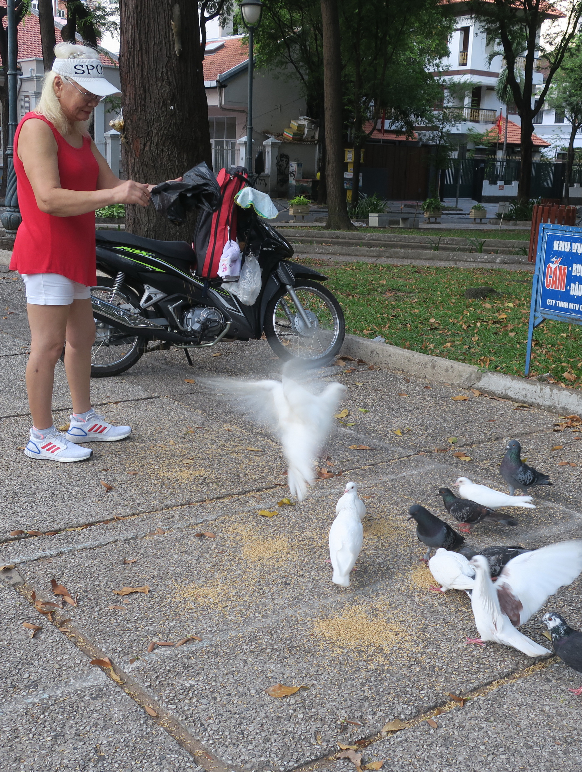 Kim Loan feeds pigeons in April 30 Park in Ho Chi Minh City, Vietnam. Photo: T.T.D. / Tuoi Tre