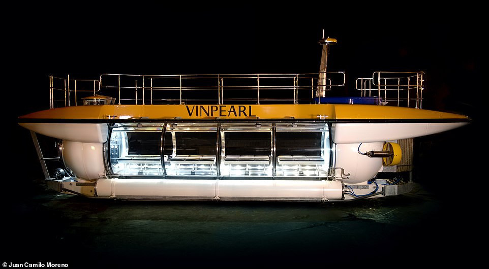 The Triton DeepView 24 purchased by Vietnamese conglomerate Vingroup. Photo: Vingroup