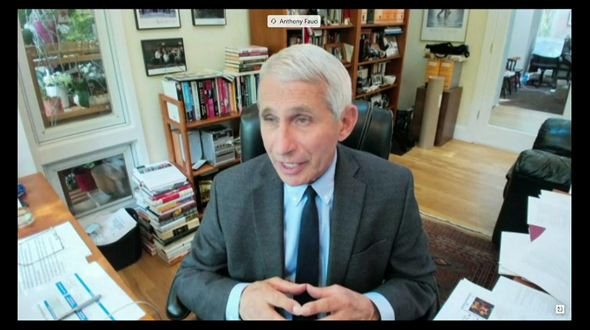 Dr. Anthony Fauci, director of the National Institute of Allergy and Infectious Diseases is seen in a frame grab from a video feed as he testifies remotely from his home during a U.S. Senate Committee for Health, Education, Labor, and Pensions hearing on the coronavirus disease (COVID-19) in Washington, U.S., May 12, 2020. U.S. Senate Committee for Health, Education, Labor, and Pensions Committee. Photo: Reuters