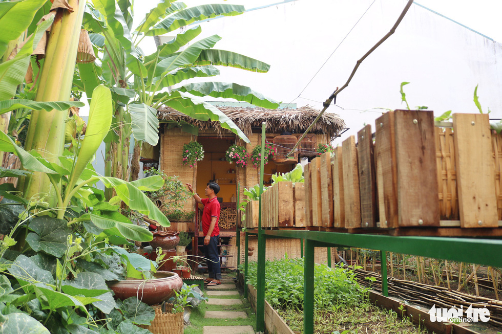 Nguyen Ba Trinh takes care of the plants in his vegetable garden in Binh Chanh District, Ho Chi Minh City, Vietnam, May 16, 2020. Photo: Ngoc Phuong / Tuoi Tre
