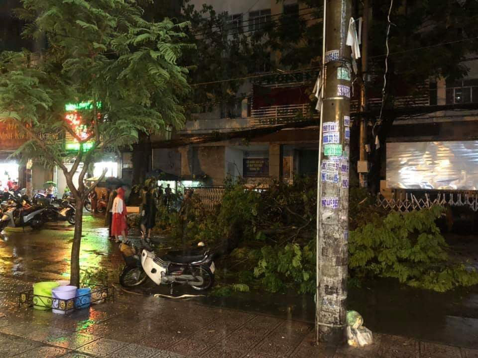 Man killed by falling tree branch in Ho Chi Minh City